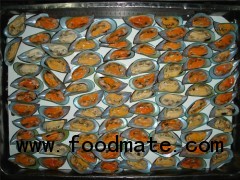 Frozen Boiled Greenshell Mussel On The Half Shell