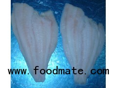 Frozen Rock Sole Fillets