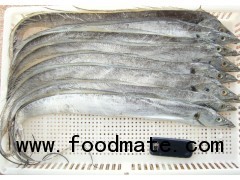 Ribbon Fish