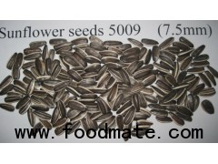 sunflower seeds