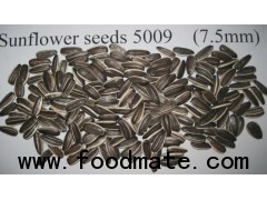 sunflower seeds