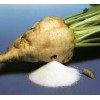 Poland Beet Sugar 45 Lcumsa