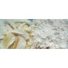 white onion powder