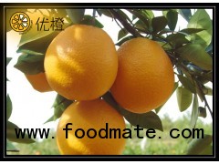 tasty navel orange