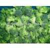 frozen broccoli