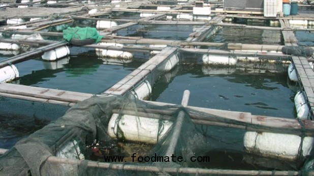 fish farm