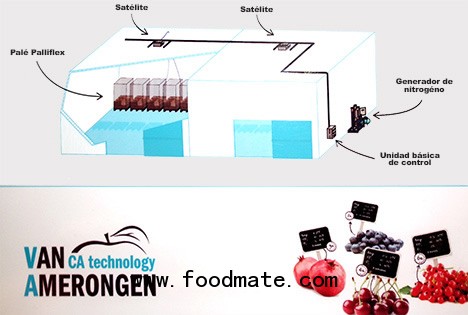 Palliflex-system