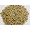newest green lentils from china