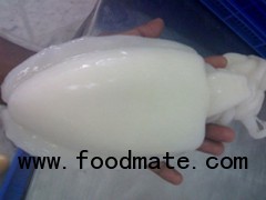 Frozen whole cleaned cuttlefish