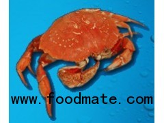 ROCK CRAB MEAT