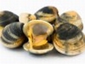 California Officials Add to List of Shellfish to Avoid in Del Norte County