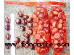 Fresh Chestnut new crop