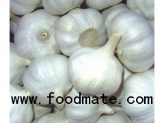 FRESH WHITE GARLIC