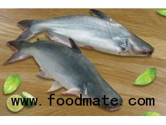 Frozen Pangasius - Whole Round