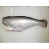 Pangasius HGT (head off, gutted, tail fin off )