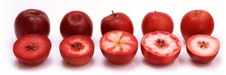 red-flesh apples