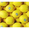 Best quality Fresh Lemon