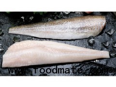 Atlantic Cod fillet skin-on