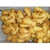 Ginger from Laiwu