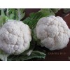 Fresh White Cauliflower