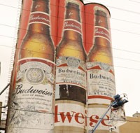 iconic Anheuser-Busch beer