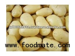 Sweet potato starch/ Fresh Sweet Potato