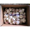 10kg Garlic Price from China