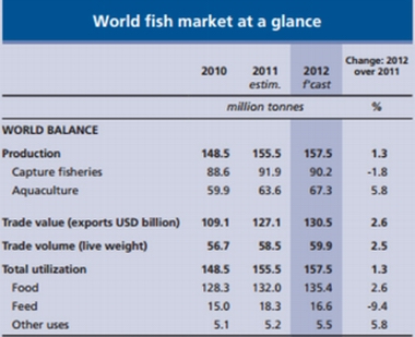 World fish market