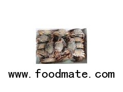 Frozen Black mud Crab