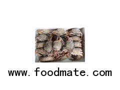 Frozen Black mud Crab