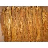 Natural Red Ginseng Root for sale