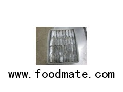 FROZEN SARDINE FISH H&G