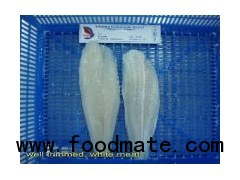 Pangasius Fillet