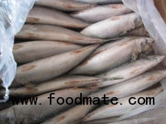 100-200G frozen mackerel (WHOLE ROUND)