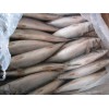 100-200G frozen mackerel (WHOLE ROUND)