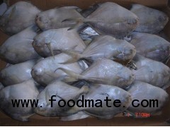 silver pomfret (110-130g)