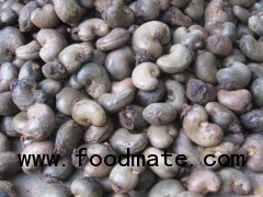 Raw Cashew Nut In Shell