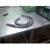 Buy USA Hagfish