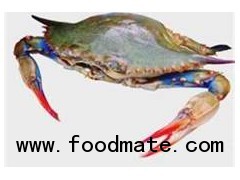 Blue Crab from USA and Mexico