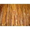 Dried and High Quality Ginseng Root