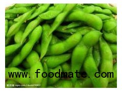 Frozen Green Soybean or IQF Green Soybean