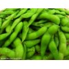 Frozen Green Soybean or IQF Green Soybean