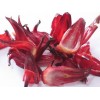 Roselle Extract(Hibiscus sabdariffa extract)