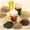 Beer Chemicals & Ingredients