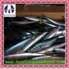 seafood mackerel