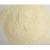 high quality garlic powder with competitive price