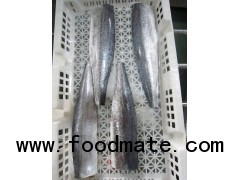 Spanish mackerel - Scomberomorus Niphonius