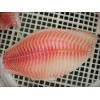 Tilapia - Oreochromis Niloticus