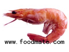 WILD COLDWATER PINK SHRIMP (Pandalus Jordani)