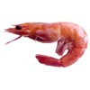 WILD COLDWATER PINK SHRIMP (Pandalus Jordani)